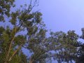 WP_20160806_18_09_58_Pro.jpg